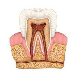 Root Canal Treatment and Its Role in Preventing Tooth Loss