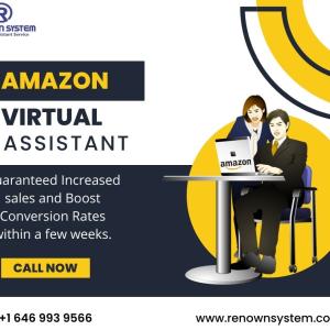 How do we upscale your business through amazon virtual assistant services?