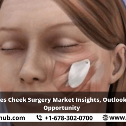 United States Cheek Surgery Market Insights, Outlooks, Growth, Opportunity