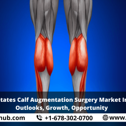 United States Calf Augmentation Surgery Market Insights, Outlooks, Growth, Opportunity