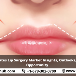 United States Lip Surgery Market Insights, Outlooks, Growth, Opportunity