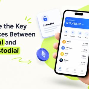 What Are the Key Differences Between Custodial and Non-Custodial Wallets?
