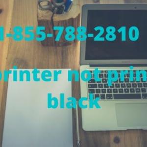  HP Printer Not Printing Black Issue Solve Easily And Quickly