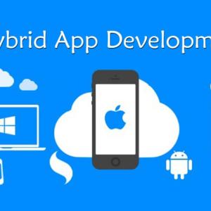 The Top Reasons a Hybrid App Development Company is Ideal for Your Business