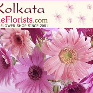 Best Gifts for Occasion of Light  in Kolkata Free Delivery Cheap Price