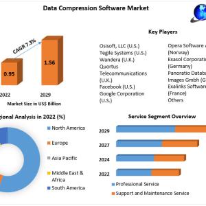 Data Compression Software Market Opportunities, Sales Revenue, Leading Players and Forecast 2029