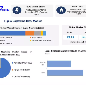 Lupus Nephritis Market Manufacturers, Suppliers, Vendors Sales, Revenue, Market Share 2023 to 2029	