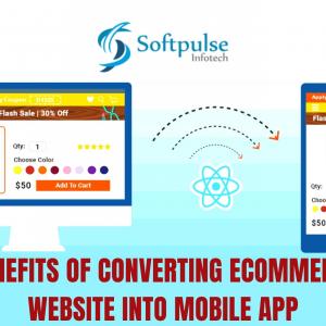 17 Benefits Of Turning eCommerce Website Into Mobile App