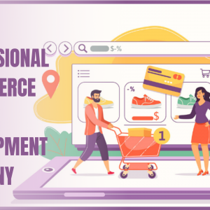 Professional eCommerce Web Development Company