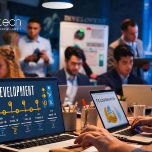 What Businesses Should Know Before Hiring Ecommerce Developers?