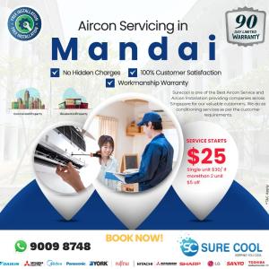 Aircon servicing in Mandai