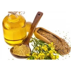 Setting up a Successful Mustard Oil Manufacturing Plant: A Comprehensive Project Report