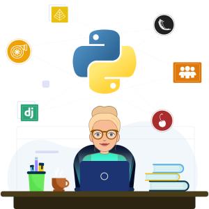 python web development services