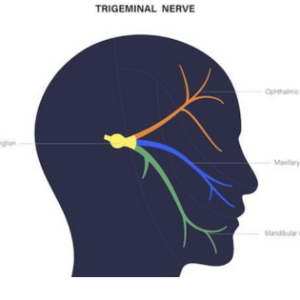 Achieving Long-term Pain Relief for Trigeminal Neuralgia (Suicide Disease): Expert Insights