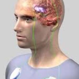 DBS Treatment in India: Transforming Lives with Brain Pacemaker