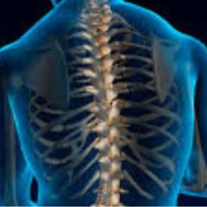 Leading Neurosurgeon in Kolkata with Global Recognition