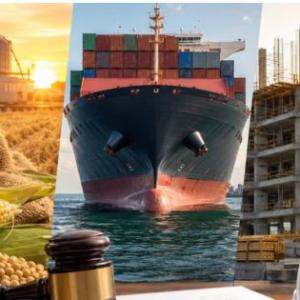 One Size Does Not Fit All: Sector Expertise Across Commodity, Shipping and Construction Arbitration