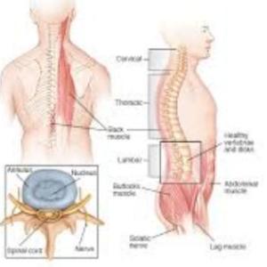 Spine Tumor Treatment in India: Kolkata’s Best Neuro Spine Surgeon
