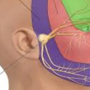 The Role of Surgery in Treating Trigeminal Neuralgia: Expert Neurosurgeon’s Opinion
