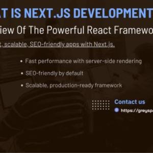 What Is Next.js Development? An Overview of the Powerful React Framework
