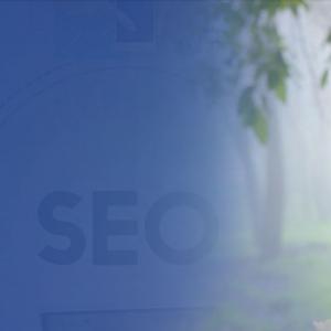 7 top-notch secrets to become a professional SEO consultant 