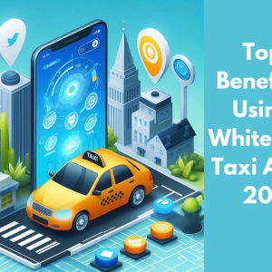 Top 5 Benefits of Using a White Label Taxi App in 2024