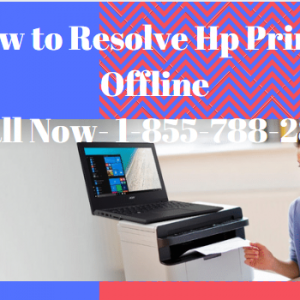 Get Solution of Hp Printer Offline Errors on Windows and Mac