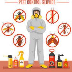 Why is pest control important for cinemas?