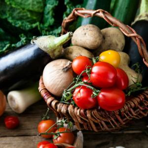 Europe Organic Food Market Outlook, Industry Size, Growth Factors, Investment Opportunity Till 2032