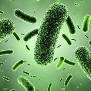 United States Probiotics Market Size, Growth, Demand, Top Companies and Forecast 2024-2032