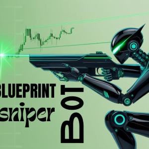 A Blueprint for a Sniper Bot Designed to Enhance Your Business Growth