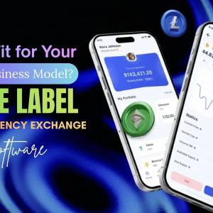 Is White Label Crypto Exchange Software the Right Fit for Your Business Model?