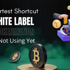 The Smartest Shortcut You’re Not Using Yet — White Label Tokenization