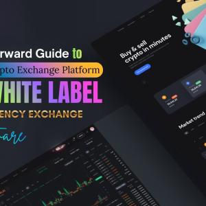 A Straightforward Guide to Building a Crypto Exchange Using White Label Software