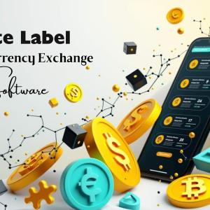 How Does White Label Software Reduce Development Costs for Cryptocurrency Exchanges?