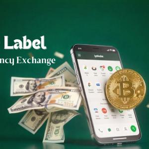 Why Do Startups Choose White Label Crypto Exchange Software for Rapidly Launching Trading Platforms?