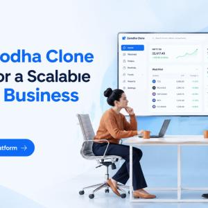 Why Zerodha Clone Is Ideal for a Scalable Trading Business in India