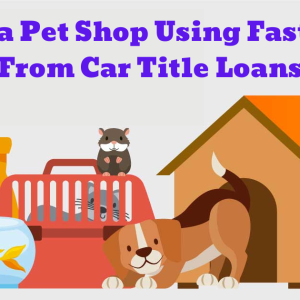 Car Title Loans