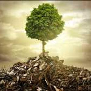 Biodegradable Plastics Market Features, Grow Pricing, Resources and Revenue