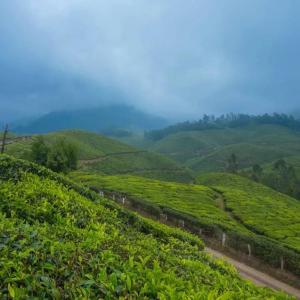 Romantic Escapes – Kerala Honeymoon Packages for Newlyweds