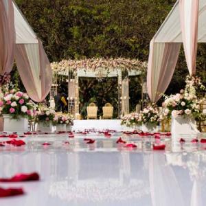 A Wedding Weekend to Remember: How to Host an Elegant Destination Wedding in Jim Corbett