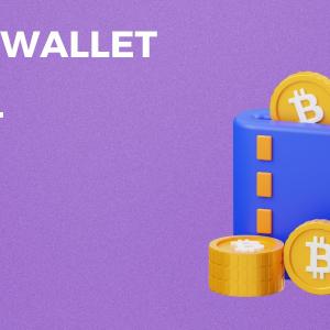 Create and launch a cryptocurrency wallet like Trust Wallet