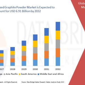  Micronized Graphite Powder Market Revenue Analysis: Growth, Share, Value, Size, and Insights