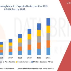 Hot Sauce Market Revenue Analysis: Growth, Share, Value, Size, and Insights