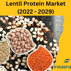 Lentil Protein Market Share, Growth, Trends and Forecast 2022-2029