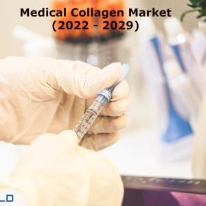 Medical Collagen Market Analysis, Growth Factors and Insights 2022-2029