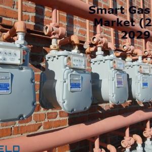 Smart Gas Meter Market Report on Emerging Trends and Growth Drivers 2022 to 2029 