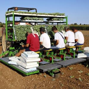 Agriculture Transplanter Market 