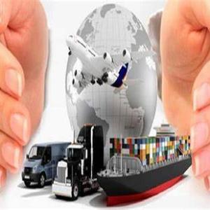 Cargo Transportation Insurance Market 