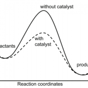 Catalyst Market 